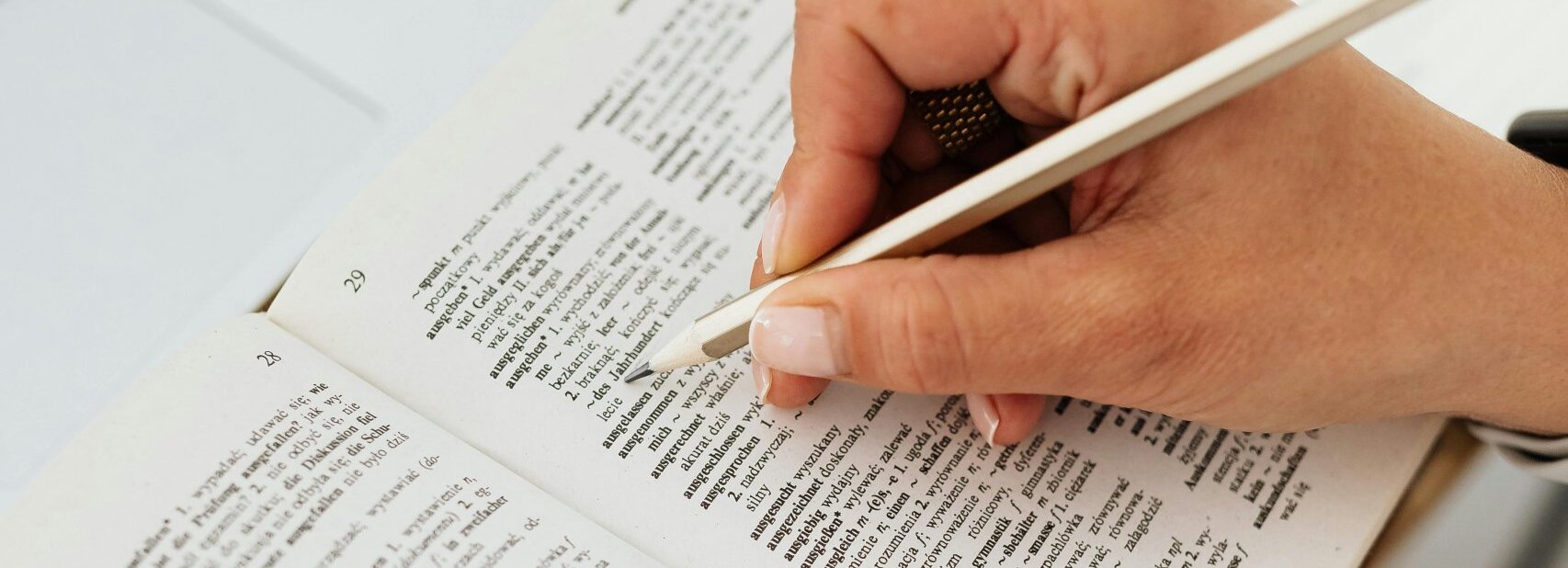 travslat-language travslat-language