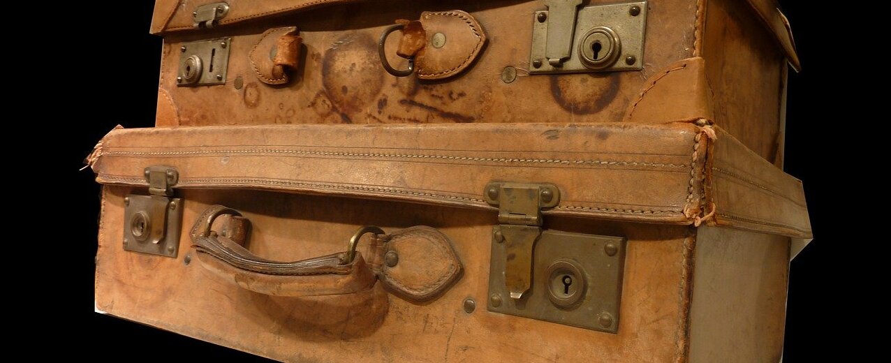 travel-luggage liten